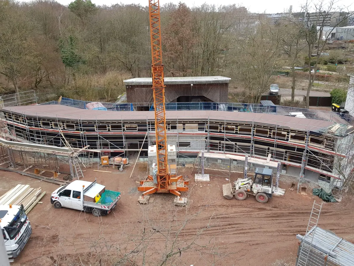 Neubau Zebrahaus im Vivarium Darmstadt